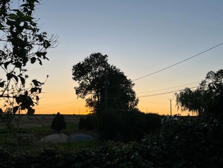 D1SY+6LSTxim2Ax20H2pug