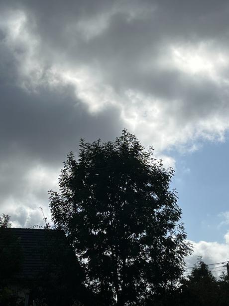 %wQ+OMoOQRiybZtmvgRNvg