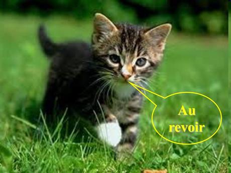 Divers - La Gentillesse