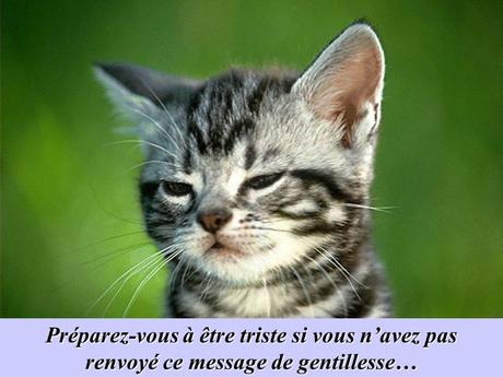 Divers - La Gentillesse