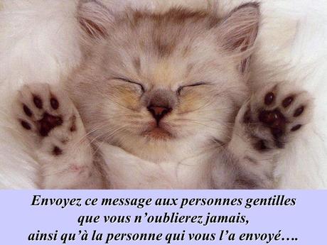 Divers - La Gentillesse