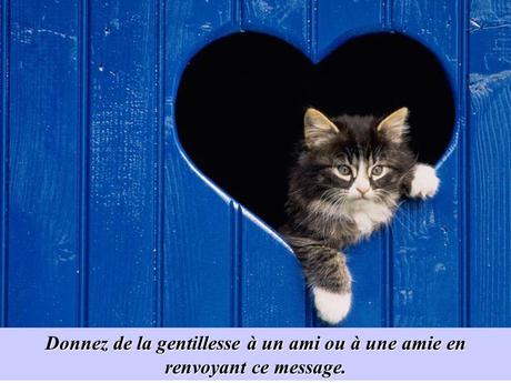 Divers - La Gentillesse