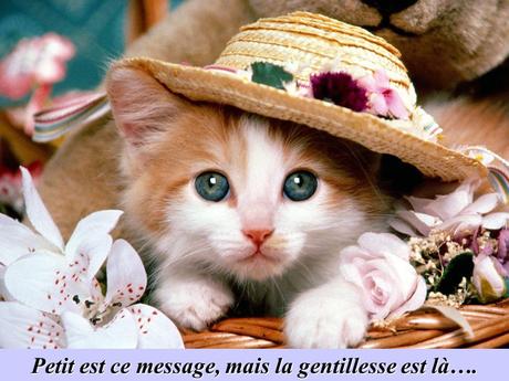 Divers - La Gentillesse