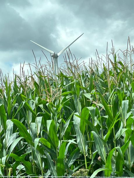 tApfHRoNSdCWIEjS427xsA