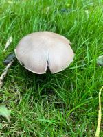 RJVXzKmgRjGt3qX1x9orhA