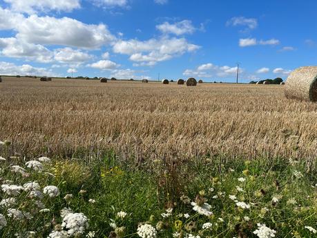 L+txPXi3Qk6SxuywXR%yQA