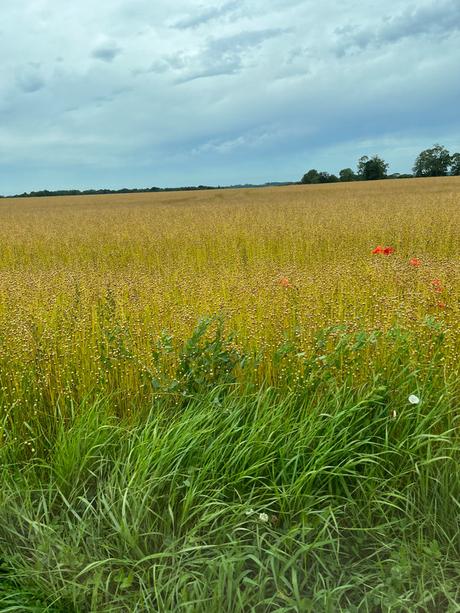 oKVSveroRuirIlDQv%VTbA