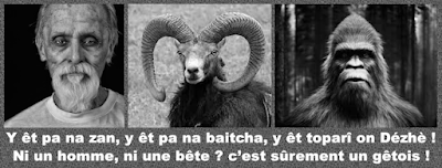 Comment se porte mon patois savoyard ?