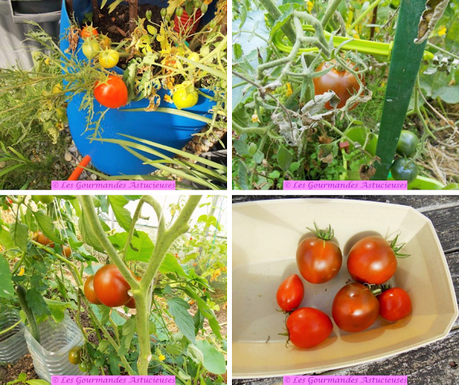 Pain rassis aux tomates et courgettes confites (Vegan)