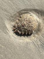 5bdwebf2TEOkQ8a24+3CAg