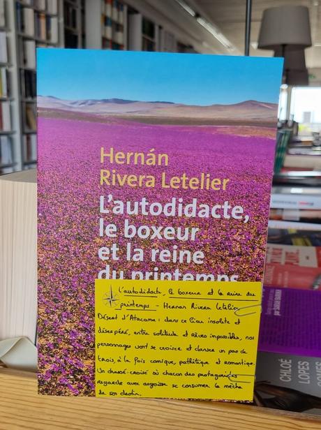 L’autodidacte, le boxeur et la reine du printemps