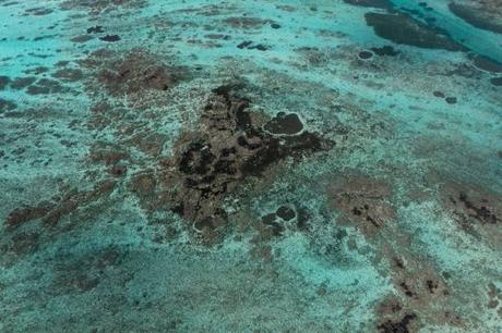 Les Événements Culturels à ne pas Manquer à l’île Maurice