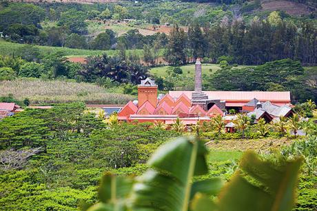 Comment l’Île Maurice Devient le Choix Numéro Un pour les Expatriés Suisses Comment l’Île Maurice Devient le Choix Numéro Un pour les Expatriés Suisses