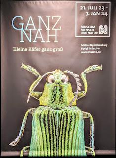 GANZ NAH — Les coléoptères photographiés  en mode macro par Thomas Büchsemann au Museum Mensch und Natur de Munich