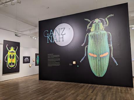 GANZ NAH — Les coléoptères photographiés en mode macro par Thomas Büchsemann au Museum Mensch und Natur de Munich GANZ NAH — Les coléoptères photographiés en mode macro par Thomas Büchsemann au Museum Mensch und Natur de Munich