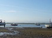 Petit coup d’œil [17]