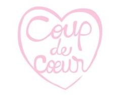 Le jeu des tricheurs – Anita Rigins