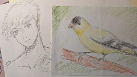 Dessins 2023 Partie 2 : Le désert de mars à août