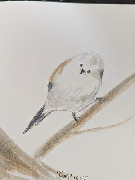 Dessins 2023 Partie 2 : Le désert de mars à août