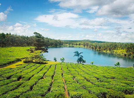 Comment réussir dans l’entrepreneuriat familial tout en offrant une vie de famille épanouissante à l’île Maurice