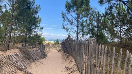 Au bout du chemin, la plage