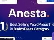 Anesta Thème WordPress Intranet, Extranet, Communauté BuddyPress