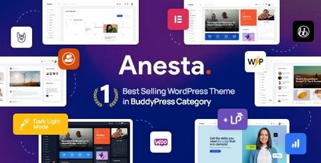 Anesta – Thème WordPress Intranet, Extranet, Communauté et BuddyPress