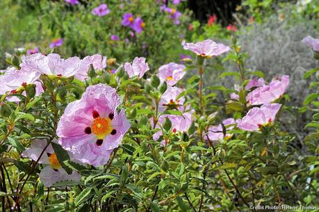 J'ai peur, je voudrais, je me souviens dj93_visite_ciste3_ht