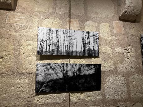 Exposition à la Prévôté – Saint-Aignan sur cher – depuis le 26 Août 2023.