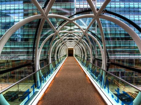 Méga projet – Construction WordPress bridging knowledge to health