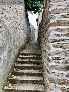 Promenade découverte dans la ville de Mayenne