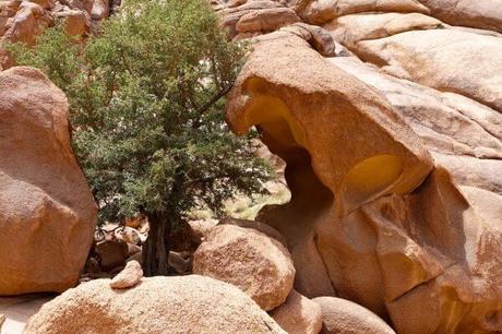 Voyager au Sinaï : là où les monts sacrés m’ont régénérée…