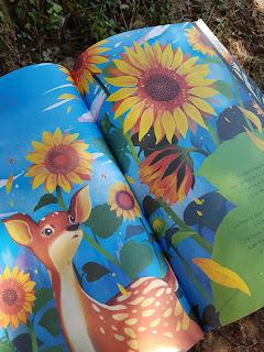 Le faon et le soleil 💛💛💛💛