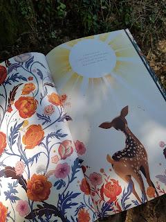 Le faon et le soleil 💛💛💛💛