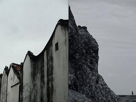 Orangerie du Luxembourg, été 2023 (2) fullsizeoutput_46d4