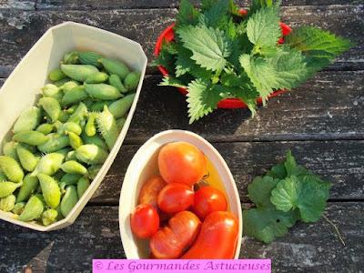 Poêlée de cyclanthères, tomates, noix et écrasée d'orties (Vegan)