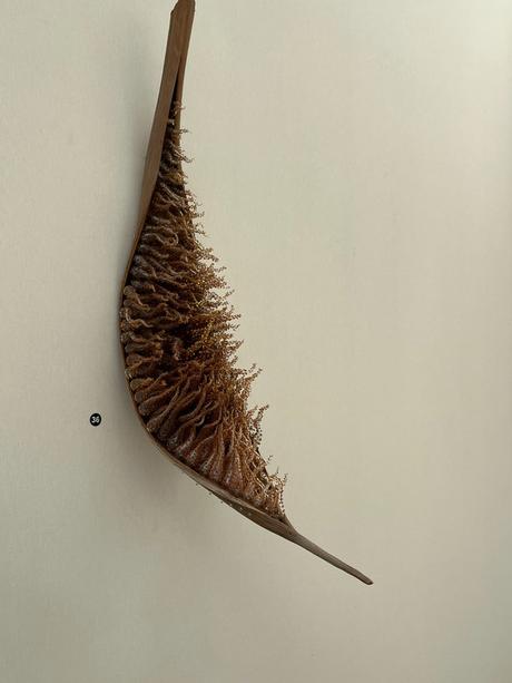 0OAXdGn6QqGu%08CoypM%w