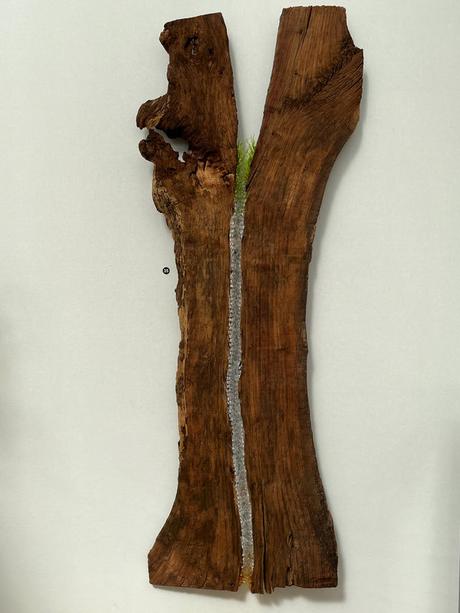 kt4x8Rz0QjuGoyhcWarPzw