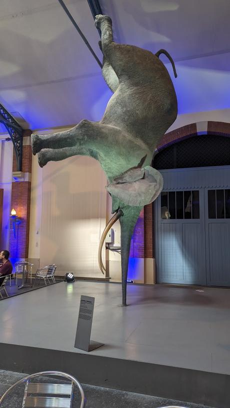 Immersion dans l’élégance champenoise : Les caves Pommery et la Villa Demoiselle à Reims