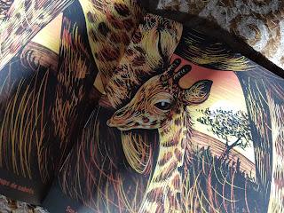 La savane, une nuit...de Isabelle Simler 🖤🖤🖤