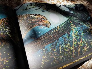 La savane, une nuit...de Isabelle Simler 🖤🖤🖤