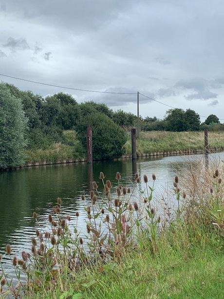 𓆉⋆。˚⋆❀ 🐚🫧𓇼 ˖° AD9145B6-2BF2-4331-9E8F-FAE1EDB61AB8