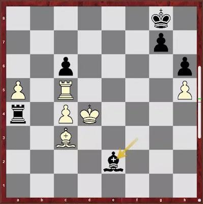 Le triomphe de Carlsen à la Coupe du monde d’échecs