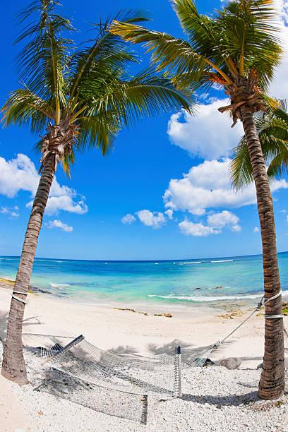 Comment l’Île Maurice a Charmé le Cœur des Belges