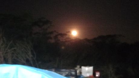 SOUVENIRS DU FUTUR – Daniel Guimond