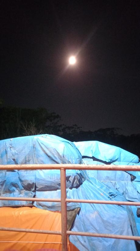 SOUVENIRS DU FUTUR – Daniel Guimond