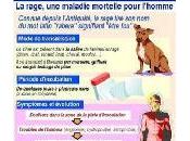 rage animal France