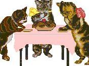 L'Europe interdit l'abatage chiens chats pour leurs peaux