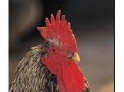 200 d'amende pour chantait trop fort