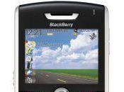 Test BlackBerry 8820